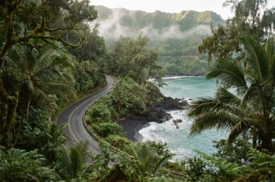 Maui - the Road to Hana coastal rainforest