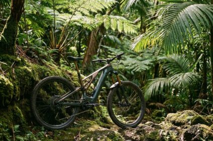 Mountain e-bike rental on a tropical Hawaii trail