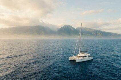 Whale watch catamaran off Maui